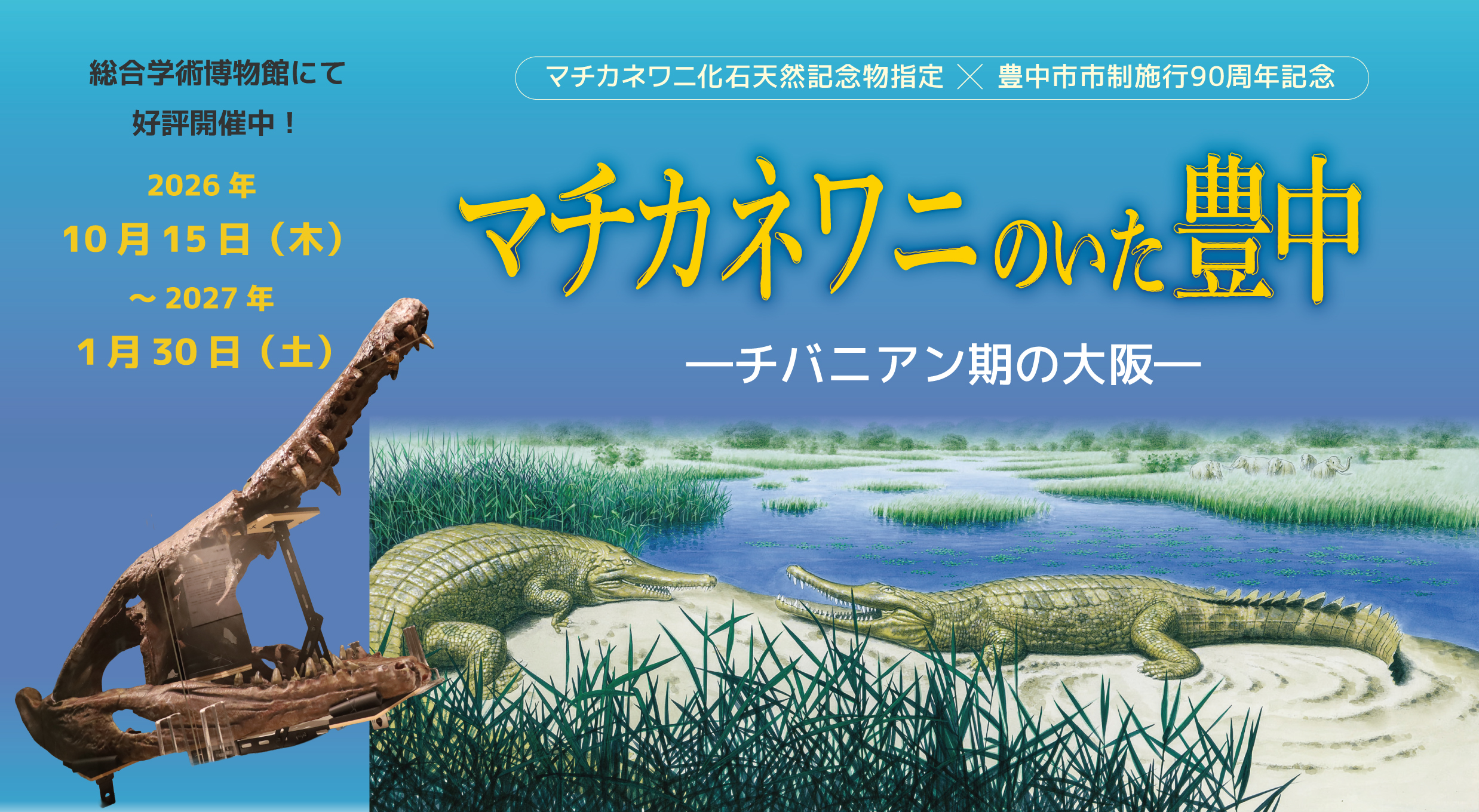 推しイベント 
                            大阪大学総合学術博物館　2026年特別展　  マチカネワニのいた豊中  ーチバニアン期の大阪ー