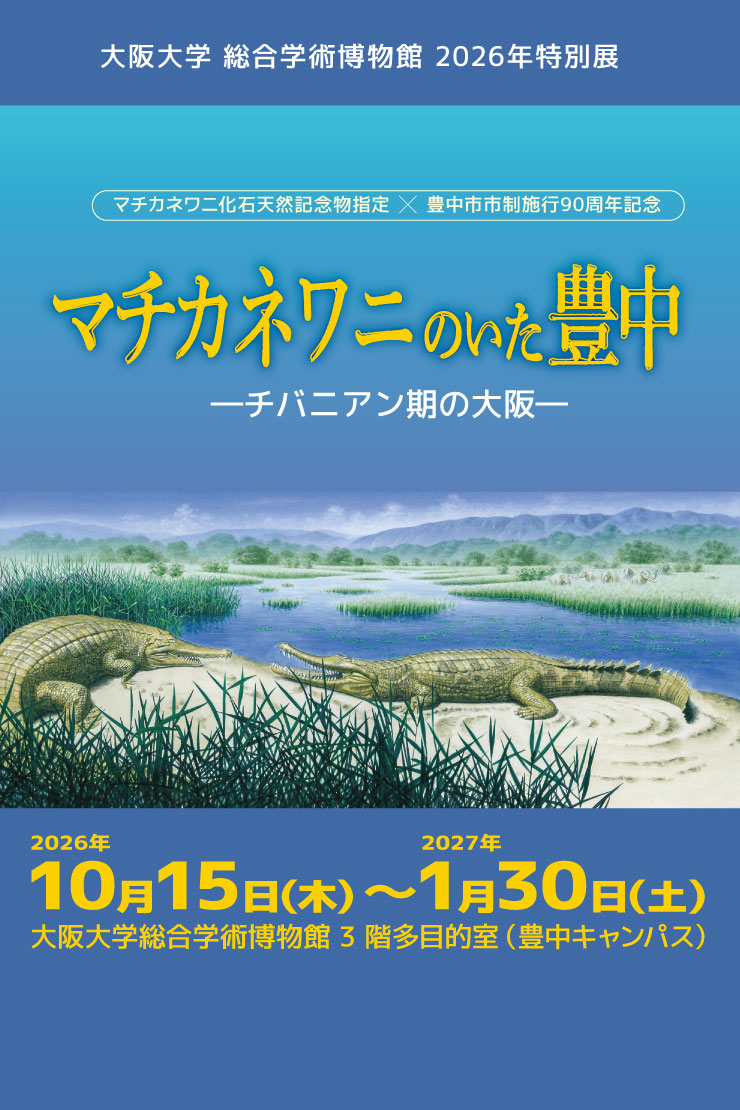 推しイベント 
                            大阪大学総合学術博物館　2026年特別展　  マチカネワニのいた豊中  ーチバニアン期の大阪ー
