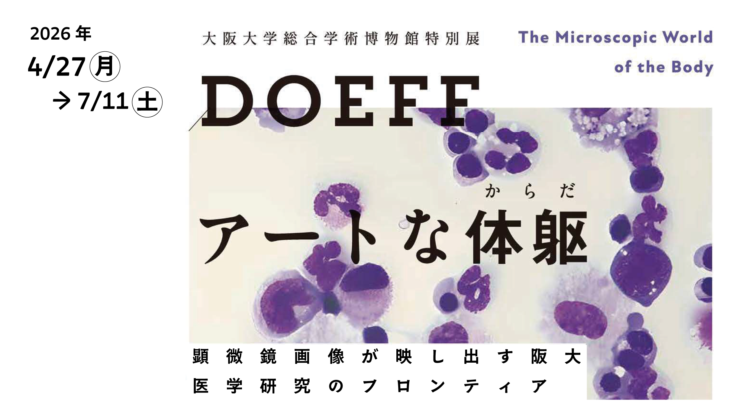 推しイベント 特別展 DOEFF（ドゥーフ） アートな体躯（からだ）：顕微鏡画像が映し出す阪大医学研究のフロンティア